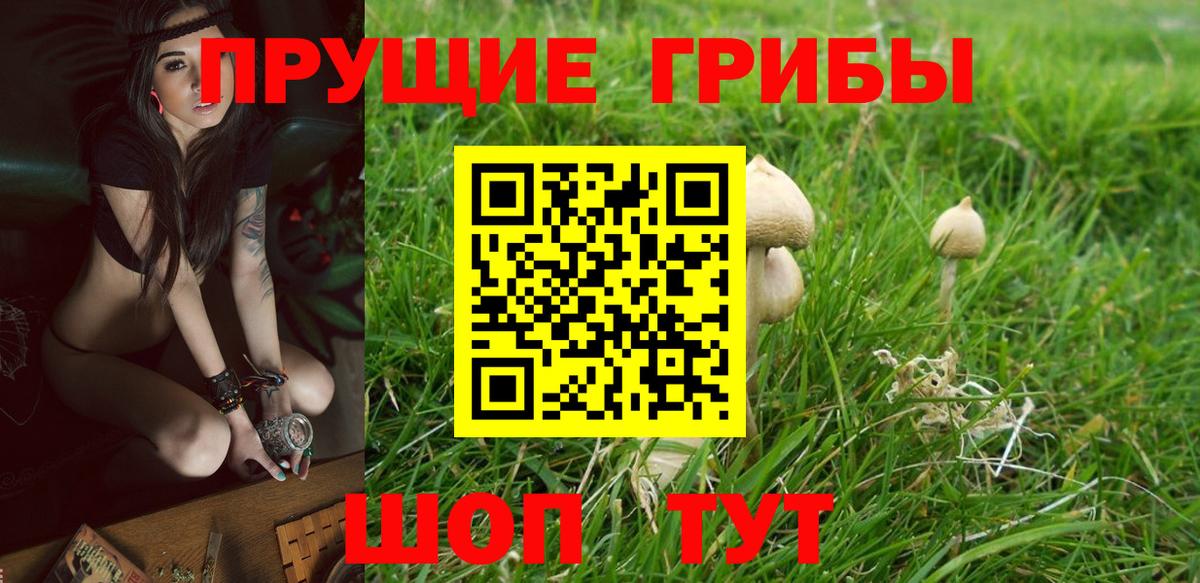 Галлюциногенные грибы мицелий Светлоград