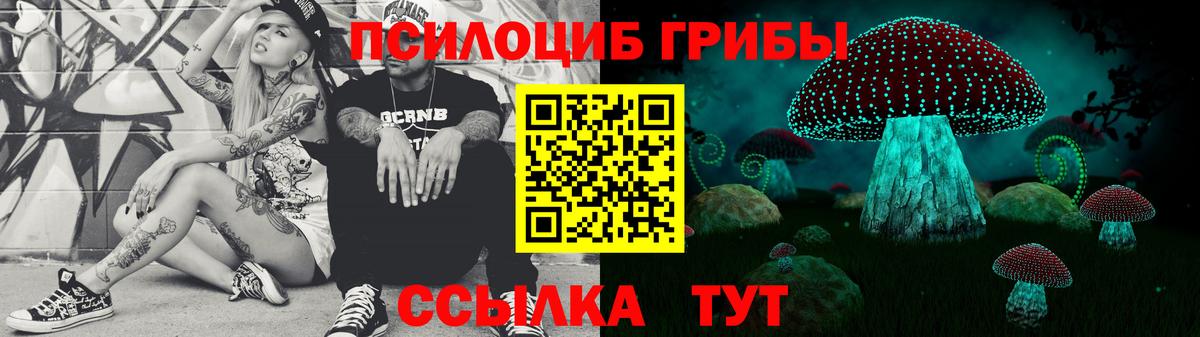Светлоград  Псилоцибиновые грибы мухоморы  Галлюциногенные грибы ЛСД  Вход с VPN 